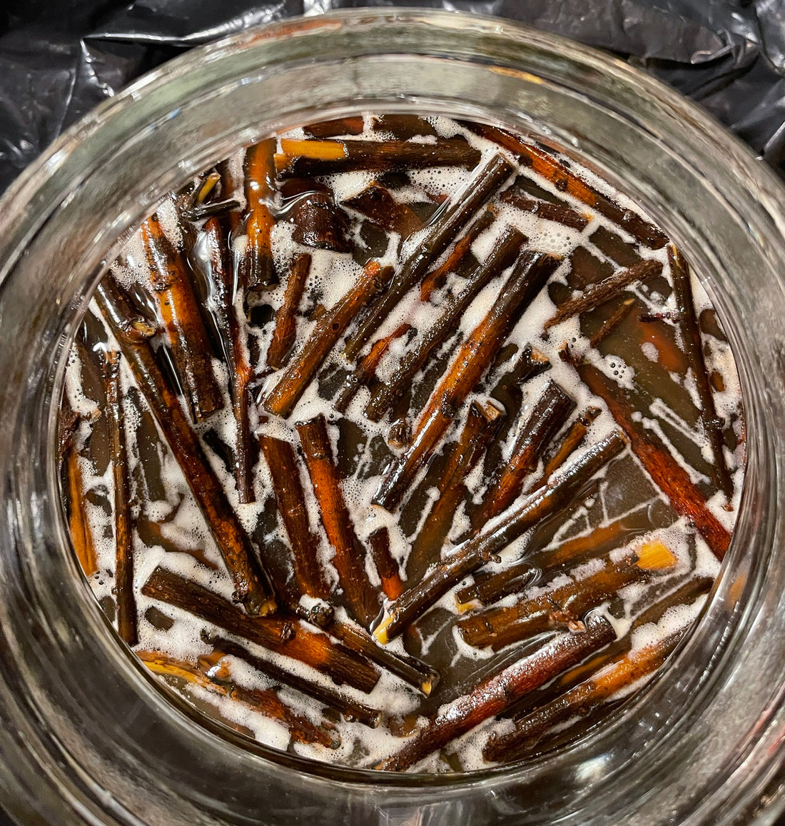 Gesho Entchet Hops Sticks at the beginning of the Fermentation Process of T'ej / Tej