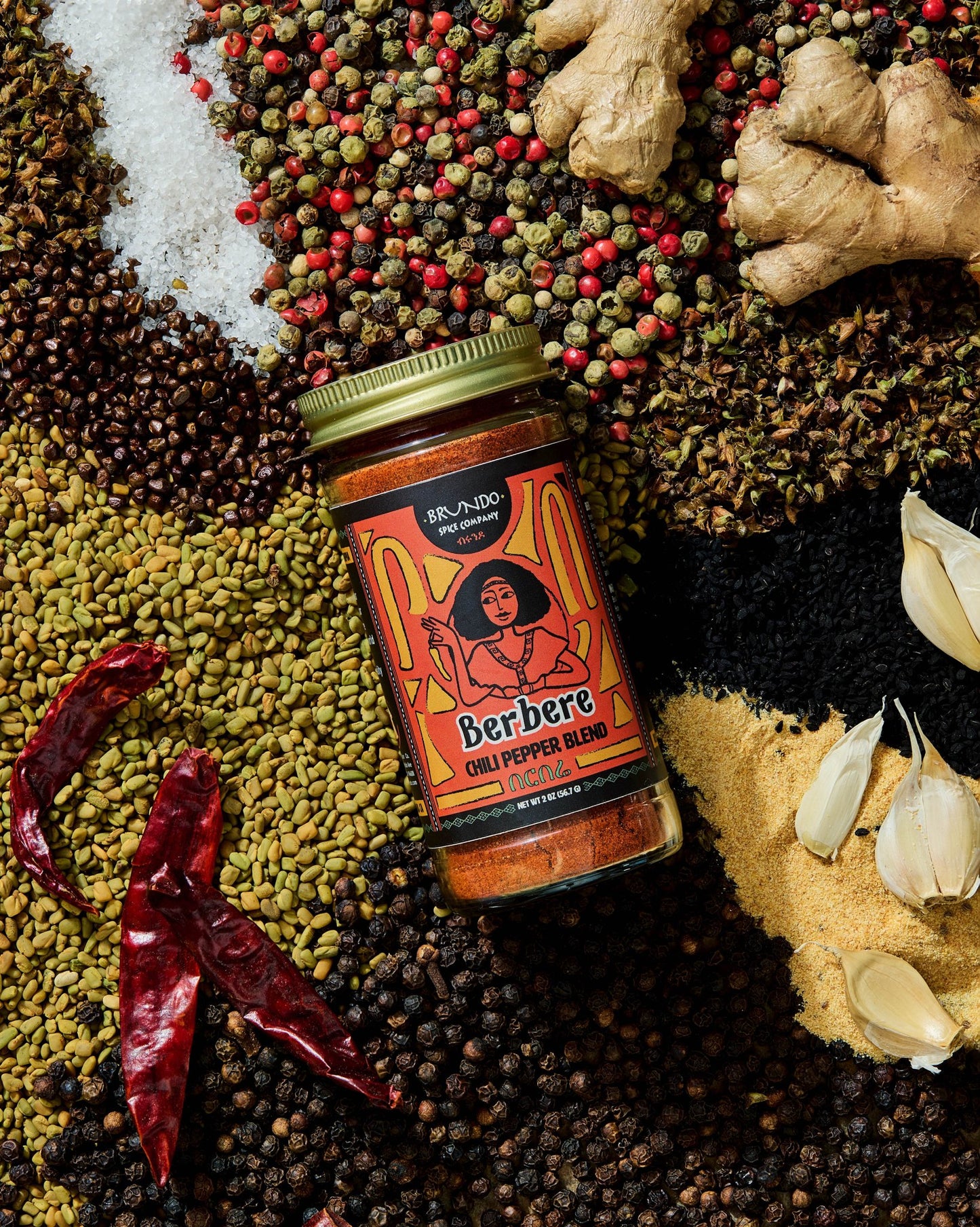Brundo Spice Company Berbere Chili Pepper Blend pouch surrounded by garlic, dried chilies, ginger, and a variety of whole spices.