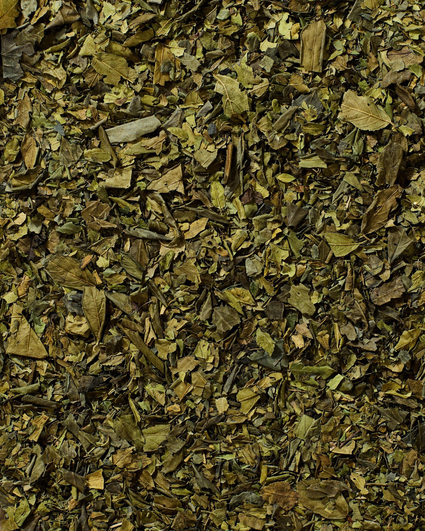Close-up of loose dried Gesho Kitel hops leaves used in traditional Ethiopian cooking and brewing.