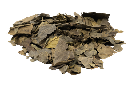 Gesho Kitel | Hops Leaves