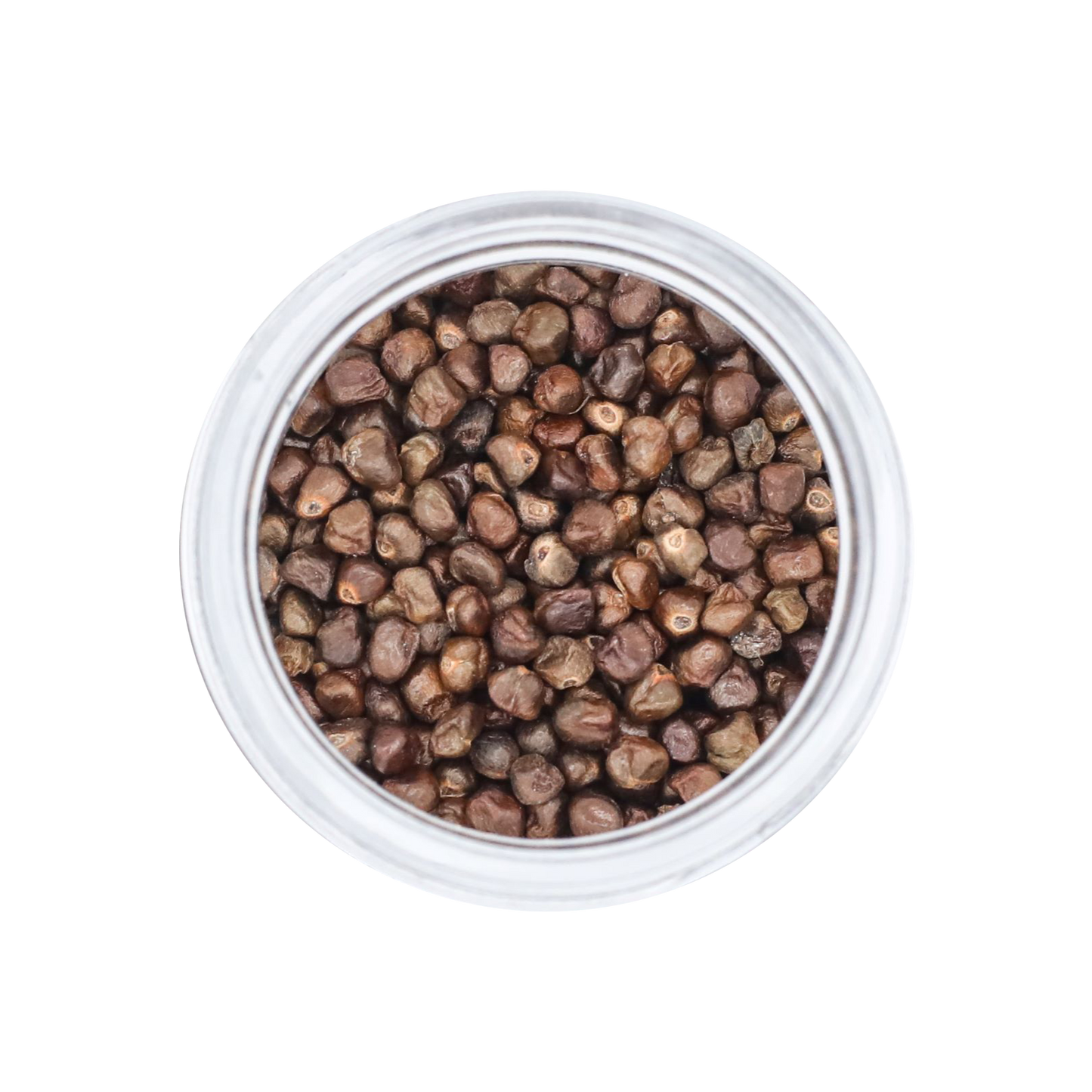 Brundo Spice Company Korerima, Wild Black Cardamom, Whole Seed 2oz