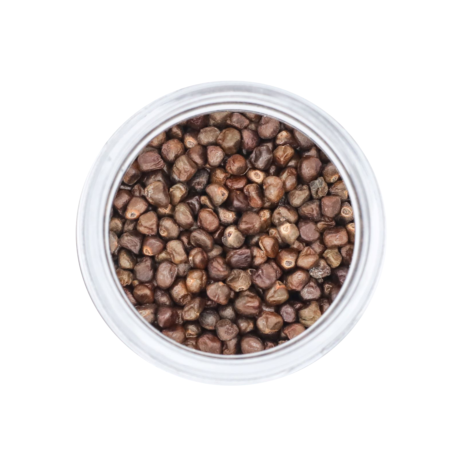 Brundo Spice Company Korerima, Wild Black Cardamom, Whole Seed 2oz