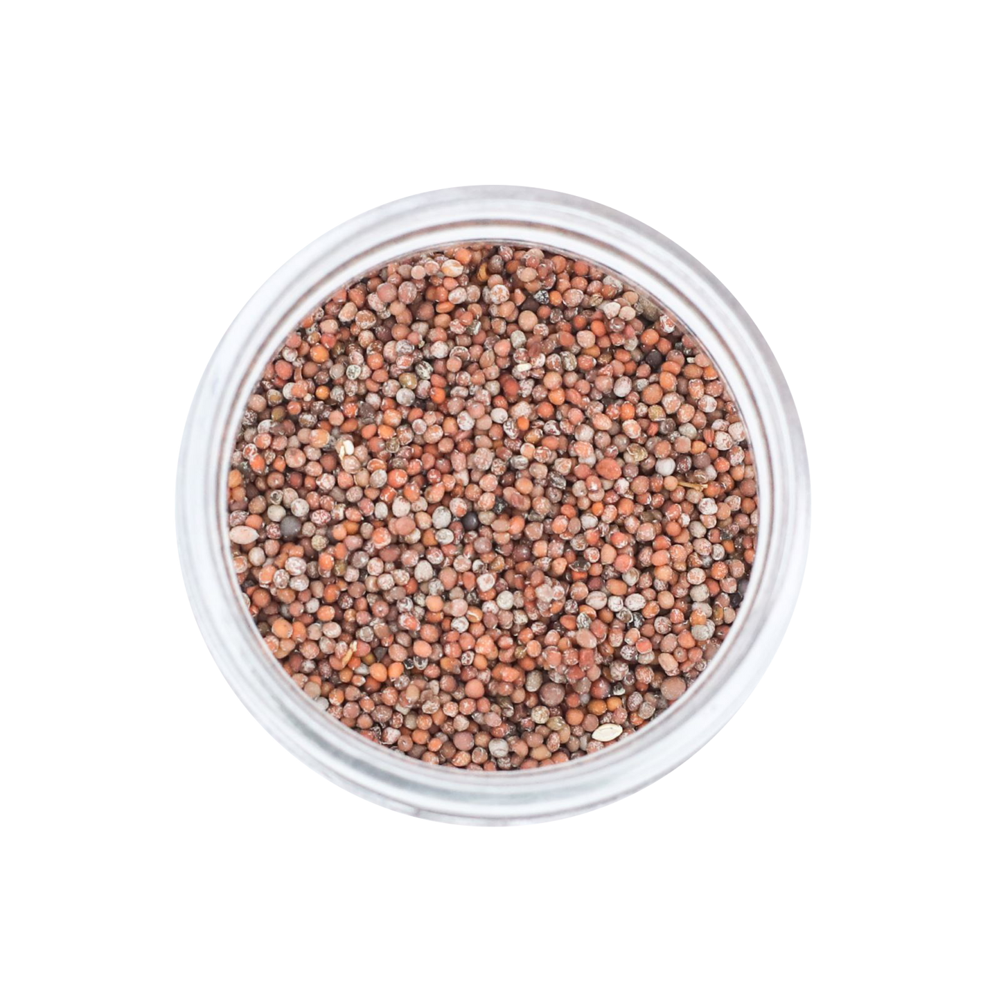 Senafitch | Ethiopian Mustard Seed