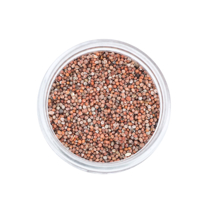 Senafitch | Ethiopian Mustard Seed