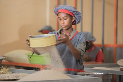 Gluten Free Teff Flour